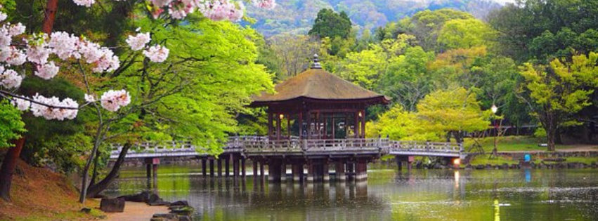 Why Nara Feels Like Stepping Into Japan’s Origins
